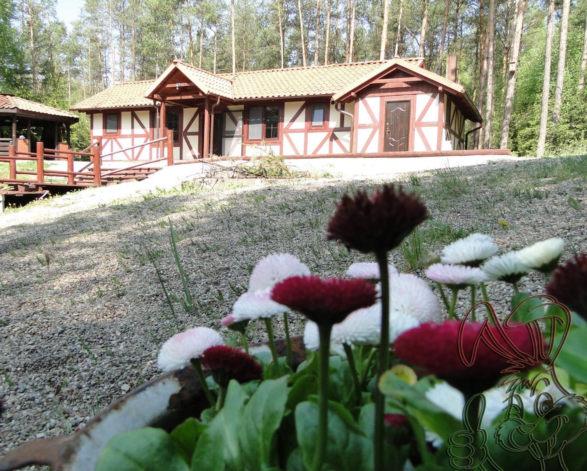 Dom Nad Stawem - Alex Holiday home Stara Kiszewa