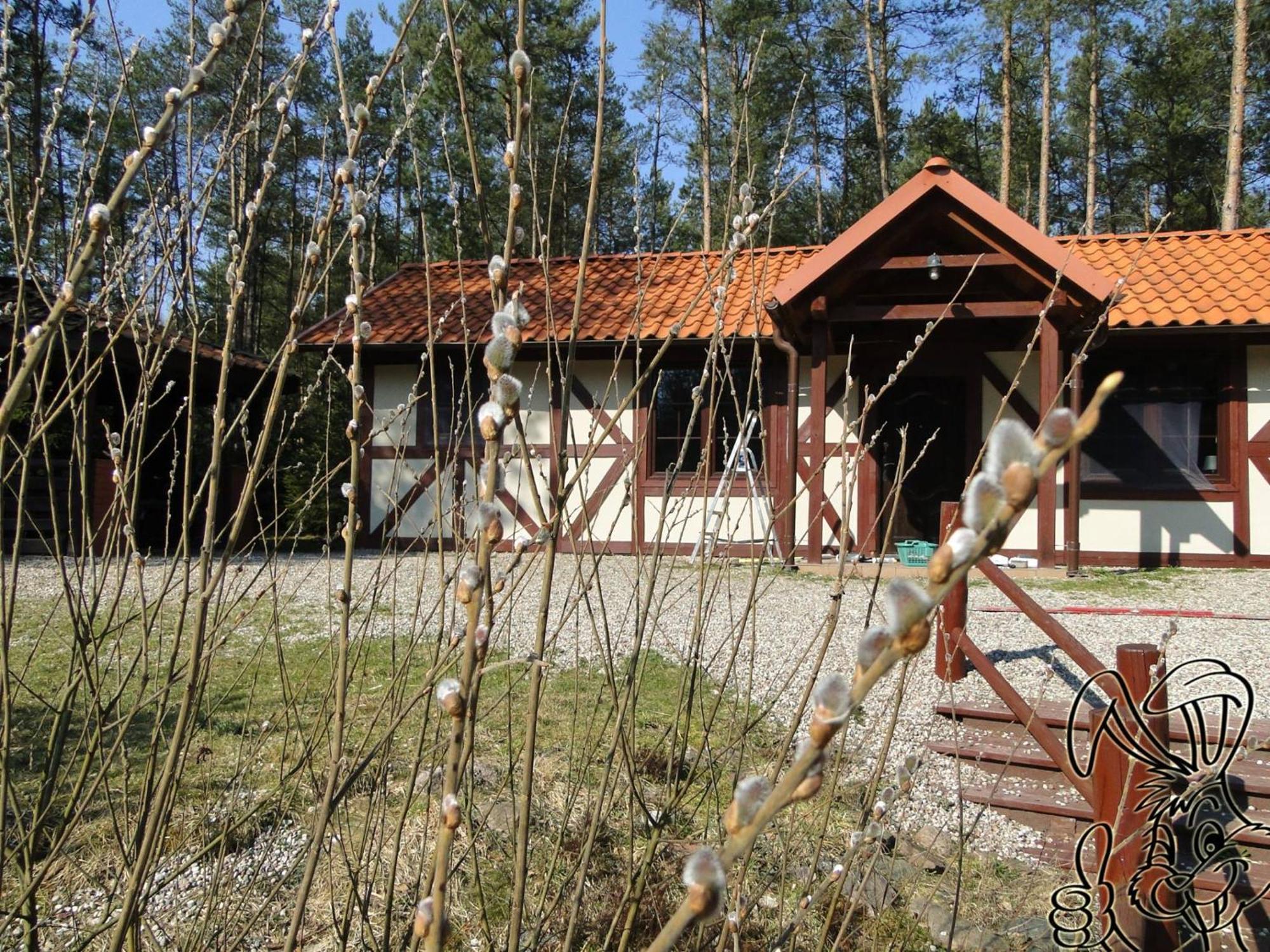 Holiday home Dom Nad Stawem - Alex Stara Kiszewa